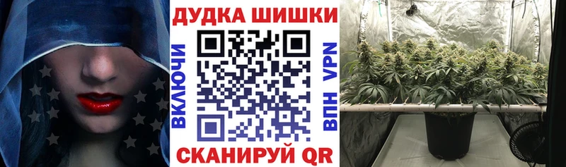 Купить  Пучеж  Бошки Шишки тримм 